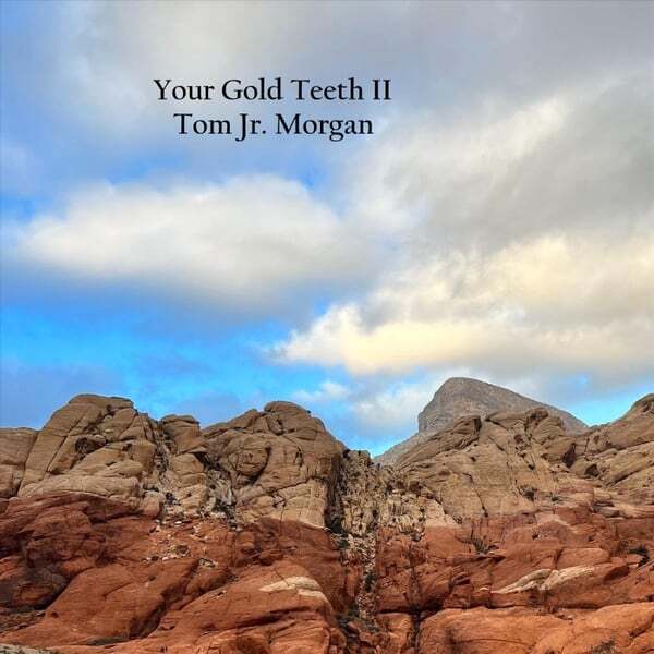 Cover art for Your Gold Teeth II