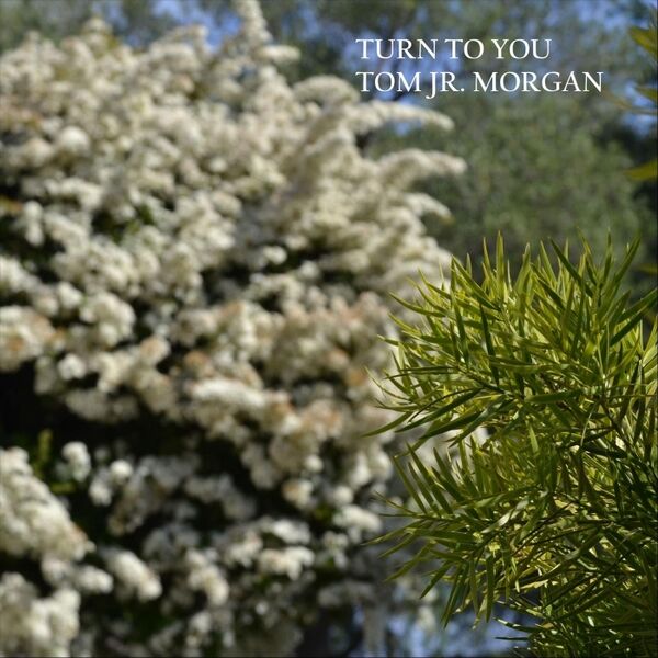 Cover art for Turn to You